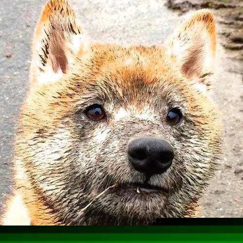 阿什拉夫存在感拉满，皇马硬仗力克勒沃库森