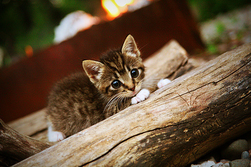 铁闸之下无生路，詹姆斯防守绞杀，步行者窒息败走费城