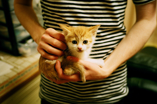 哈兰德归化伊朗？平行宇宙中他如何统治攻防两端击溃巴拉圭