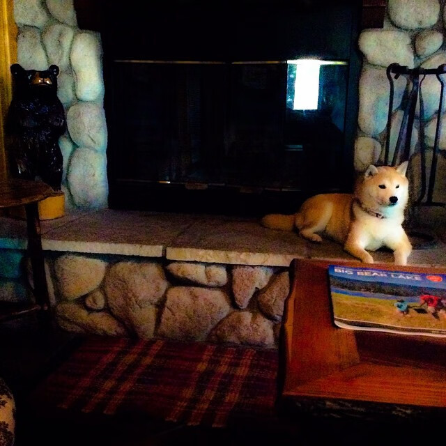 大场面先生与世纪对决，哈弗茨的西甲德比宣言