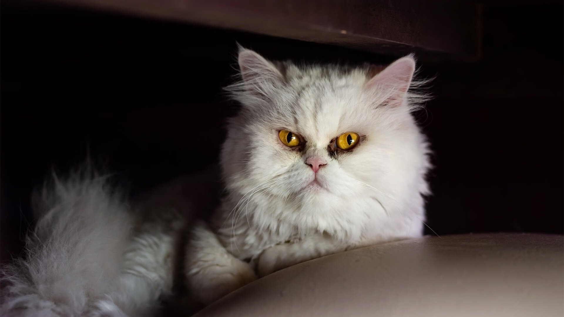 烈焰重生！乔治绝境之王降临，撕裂迈阿密铁壁