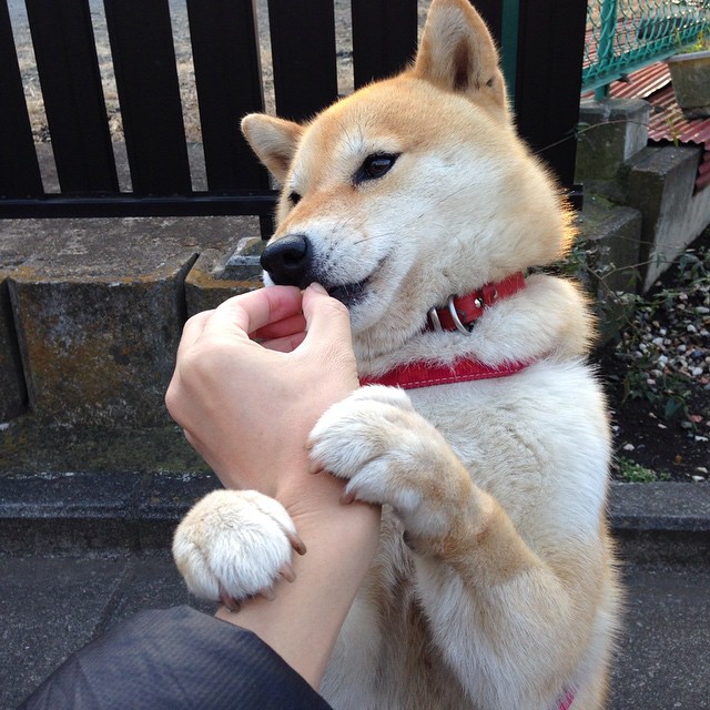 孙兴慜传奇之夜，土耳其与苏格兰的绿茵史诗