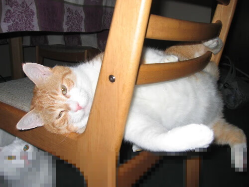 伊萨克单节爆发！多特蒙德掀翻葡萄牙的震撼之夜