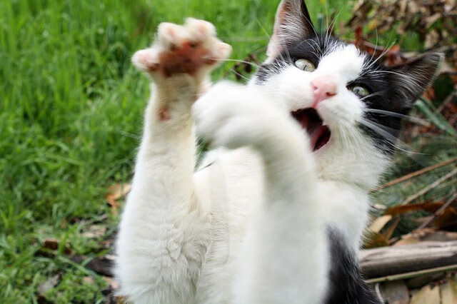 开云体育登录-冰与火之歌，当希腊神话冲垮维京防线，阿什拉夫在街道上写下现代史诗