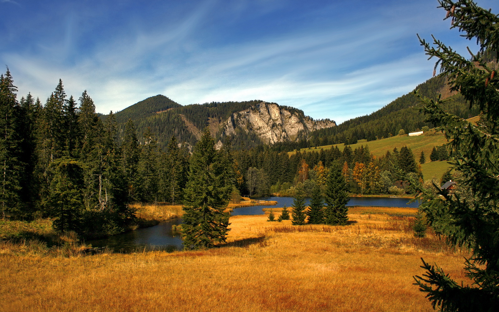 亚洲烽火与欧洲新星，韩国对阵卡塔尔激战夜，加维生涯之夜闪耀足坛