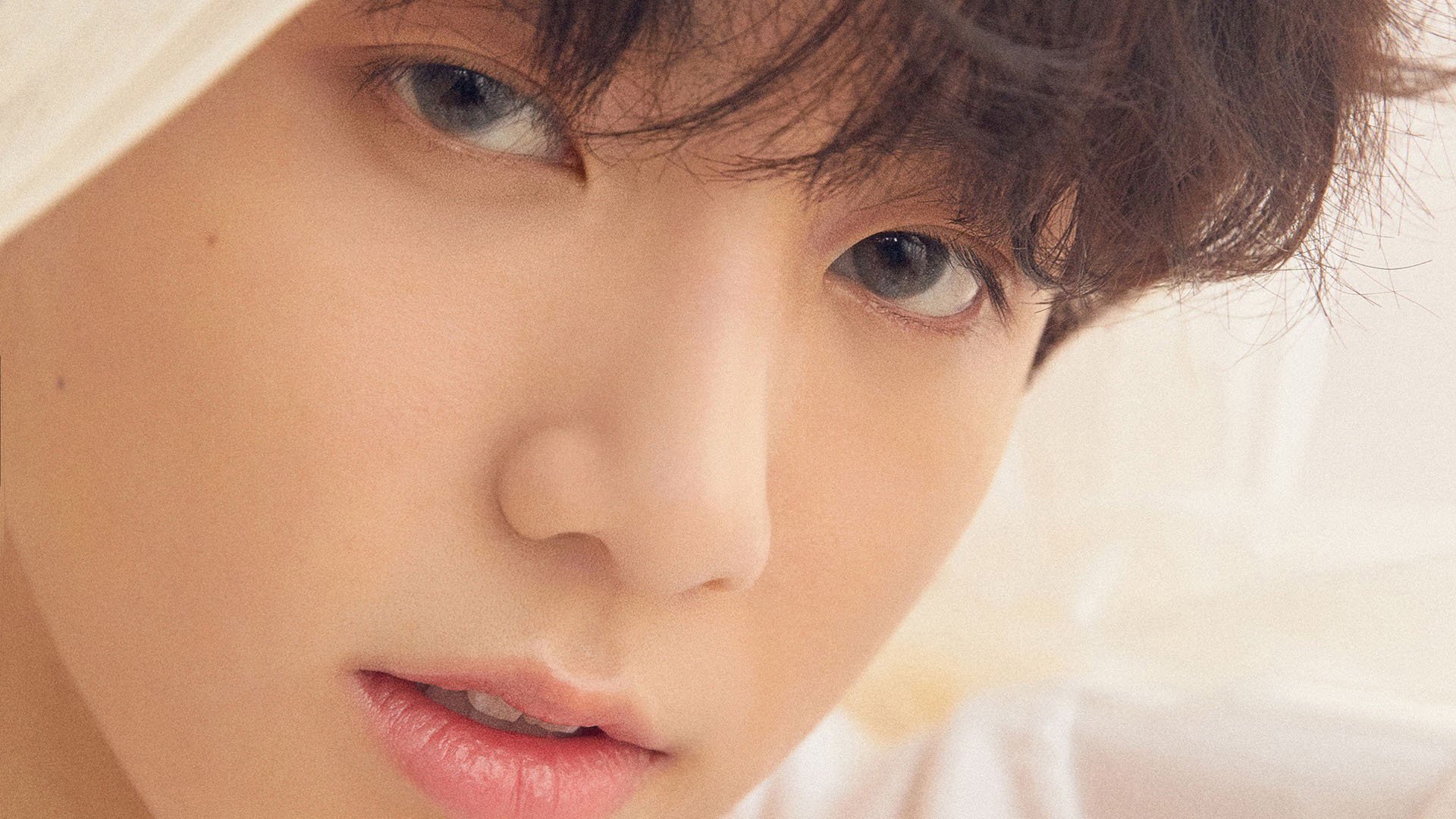 极速绿茵,中国铁闸坎特在F1年度争冠战中接管比赛