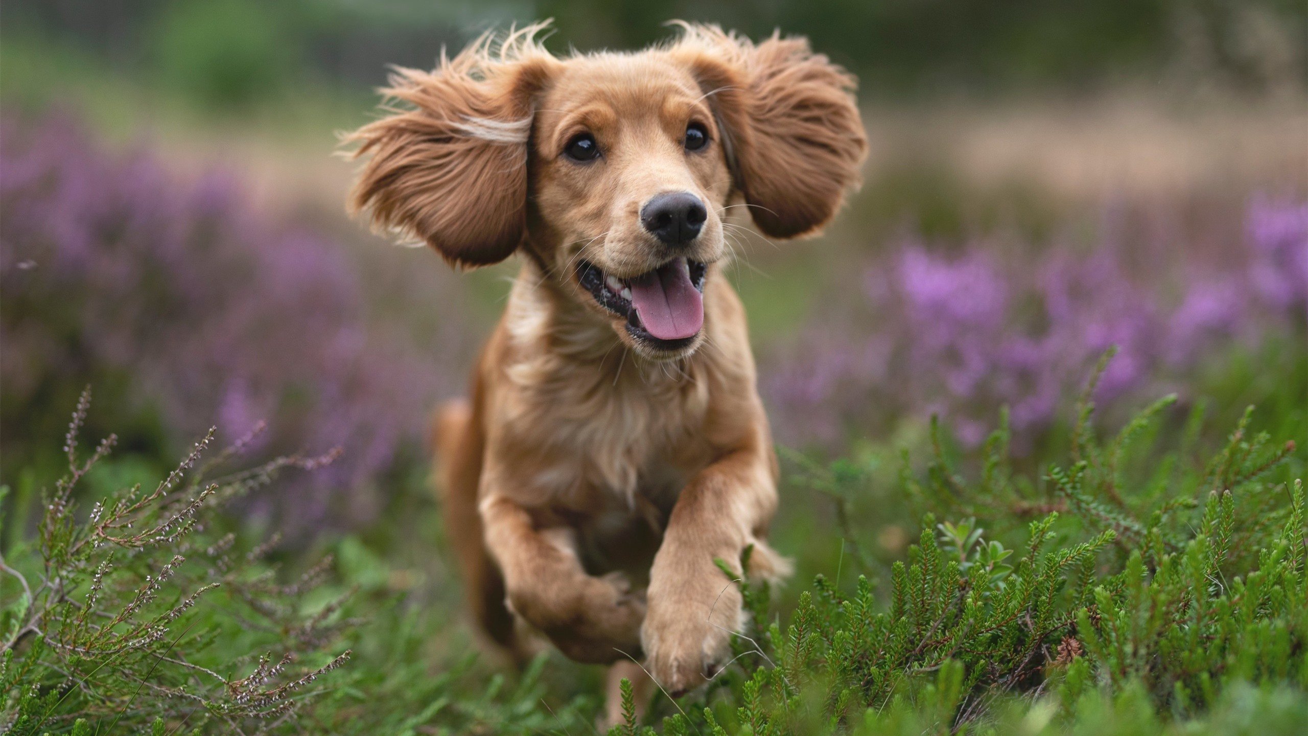 开云体育登录-轰下55分+10记三分！杜兰特生涯之夜助勇士速胜开拓者