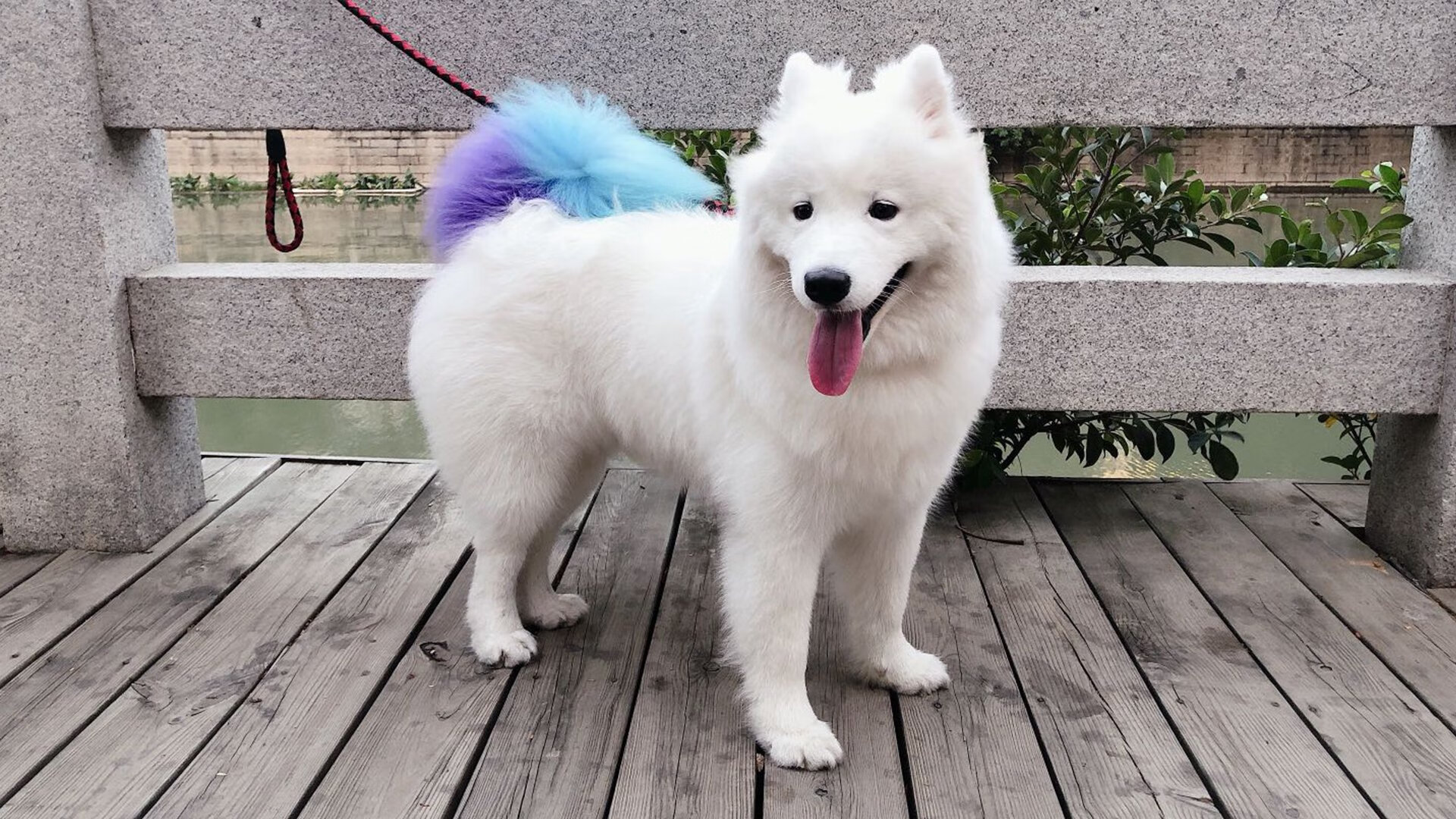 开云体育APP下载-赤焰席卷绿茵场，阿劳霍铁闸与引擎的双重奏，奏响摩洛哥胜利狂想曲