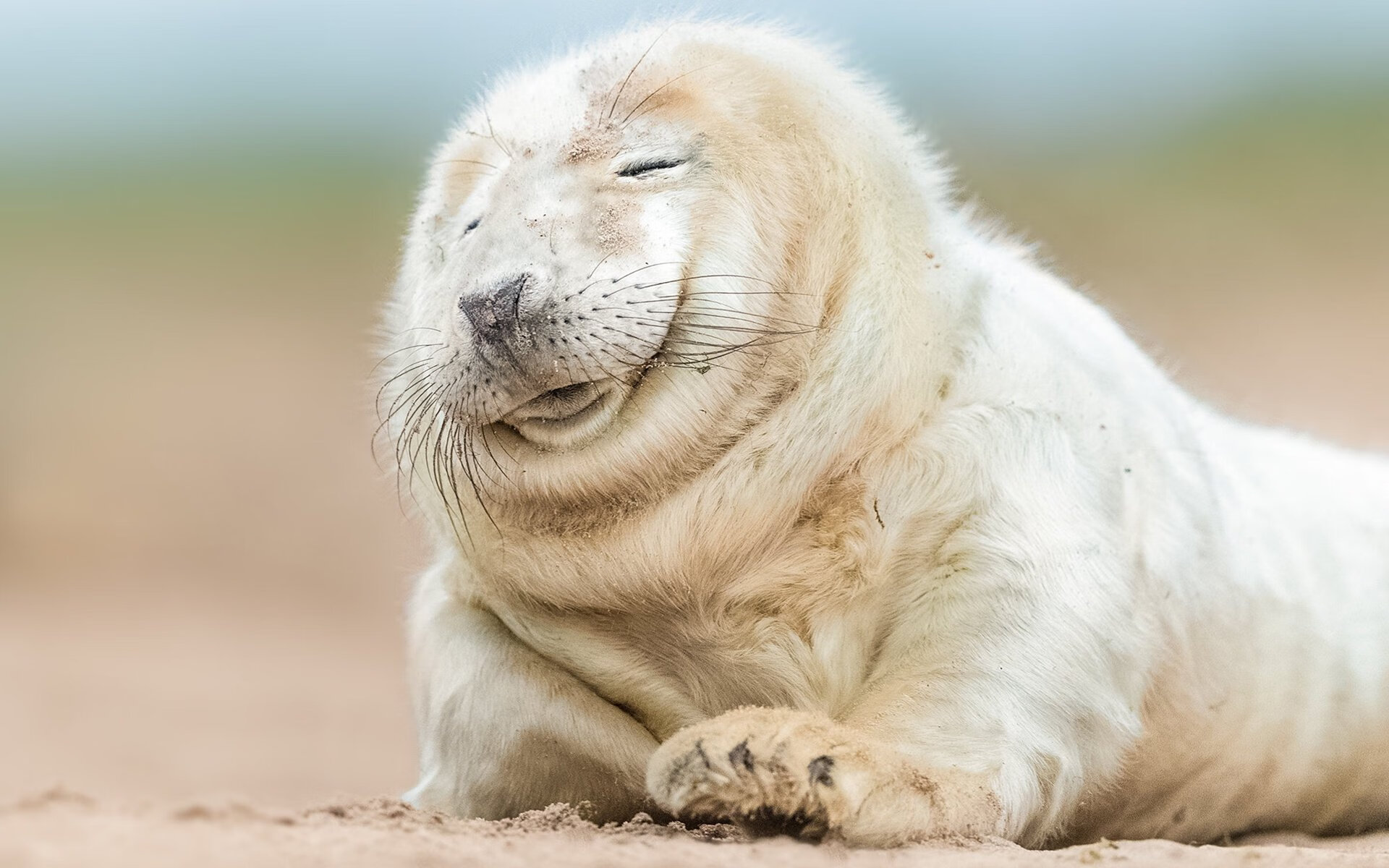 地缘风暴与绿茵传奇，乌克兰如何冲垮美国防线，凯恩完美发挥背后的大国博弈