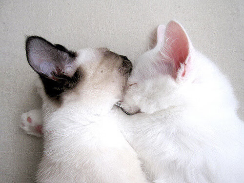 末节掘金与死神镰刀，篮球胜利哲学的冰与火之歌