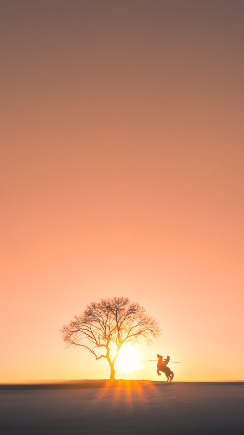 分战场的双重狂澜，英超争冠白热化，奇才逆转雄鹿燃爆赛场