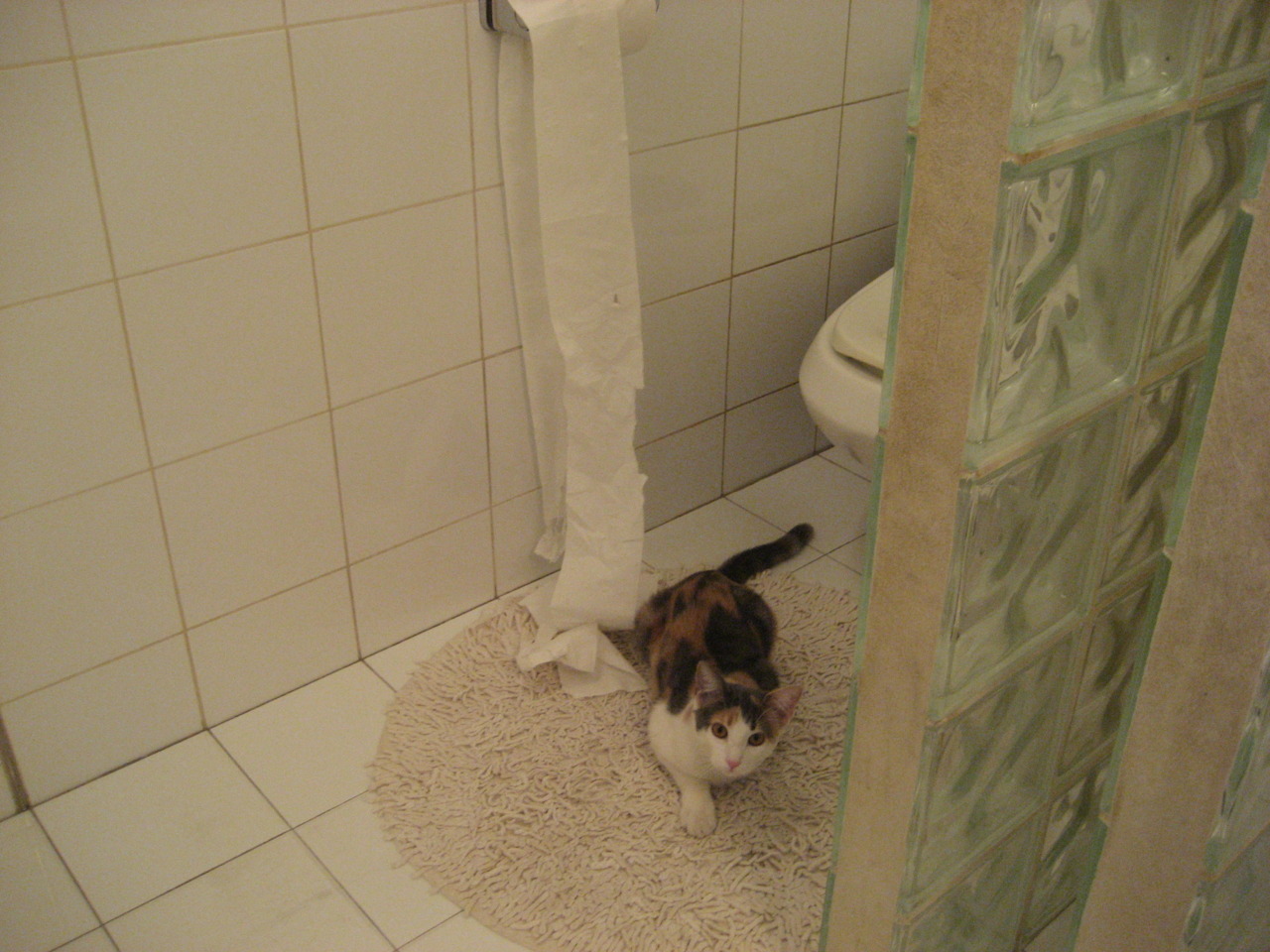 终结的艺术,从拜仁到东决,关键战中的强行密码