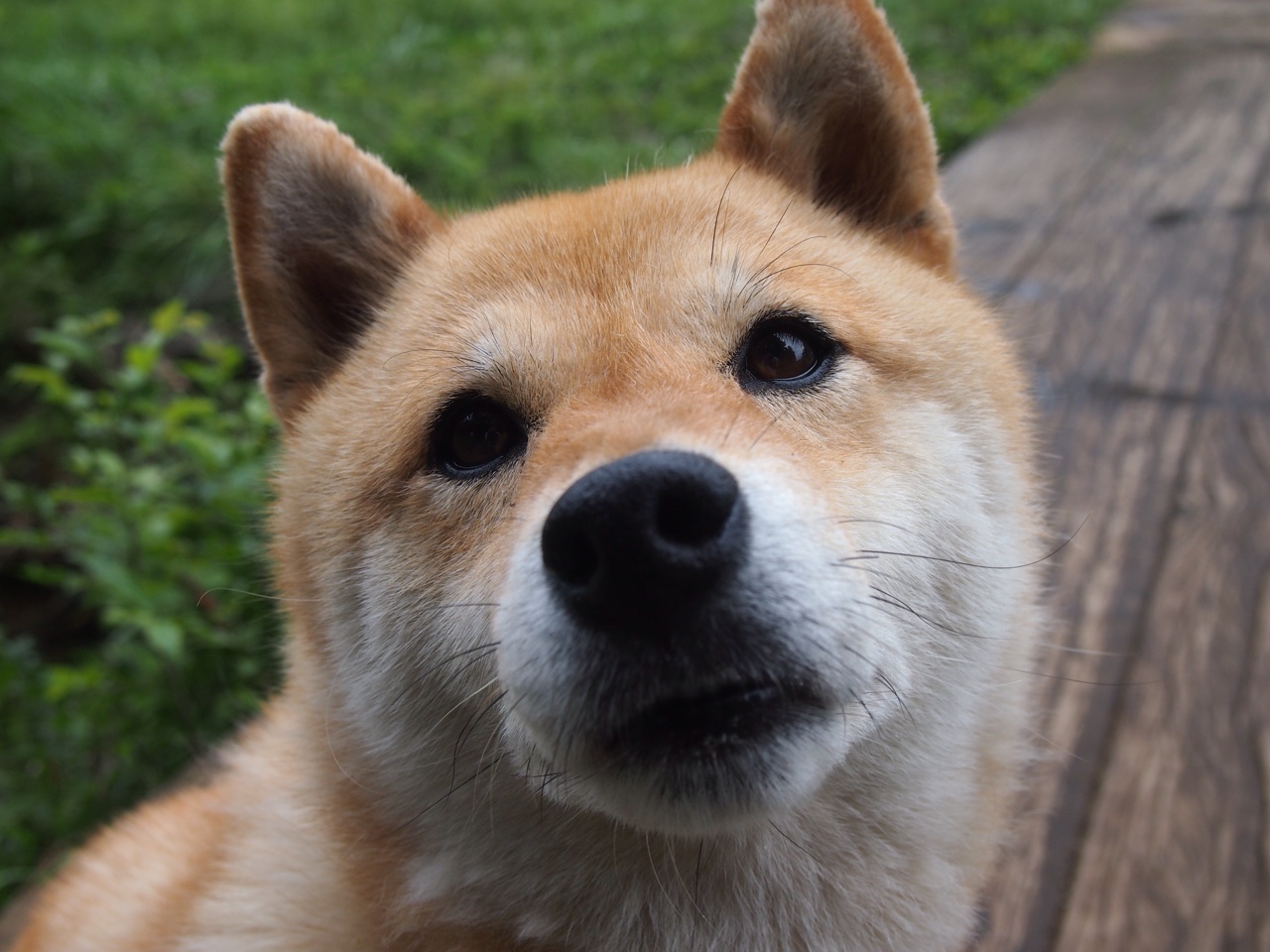 开云体育-西决生死战之夜，罗德里戈彻底打爆防线