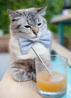 乔治狂飙40分！尼克斯强行终结北京队连胜势头