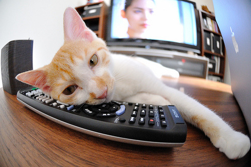 开云APP-双日凌空，当骑士终结悬念于菲尼克斯，约基奇在美加墨之巅接管比赛