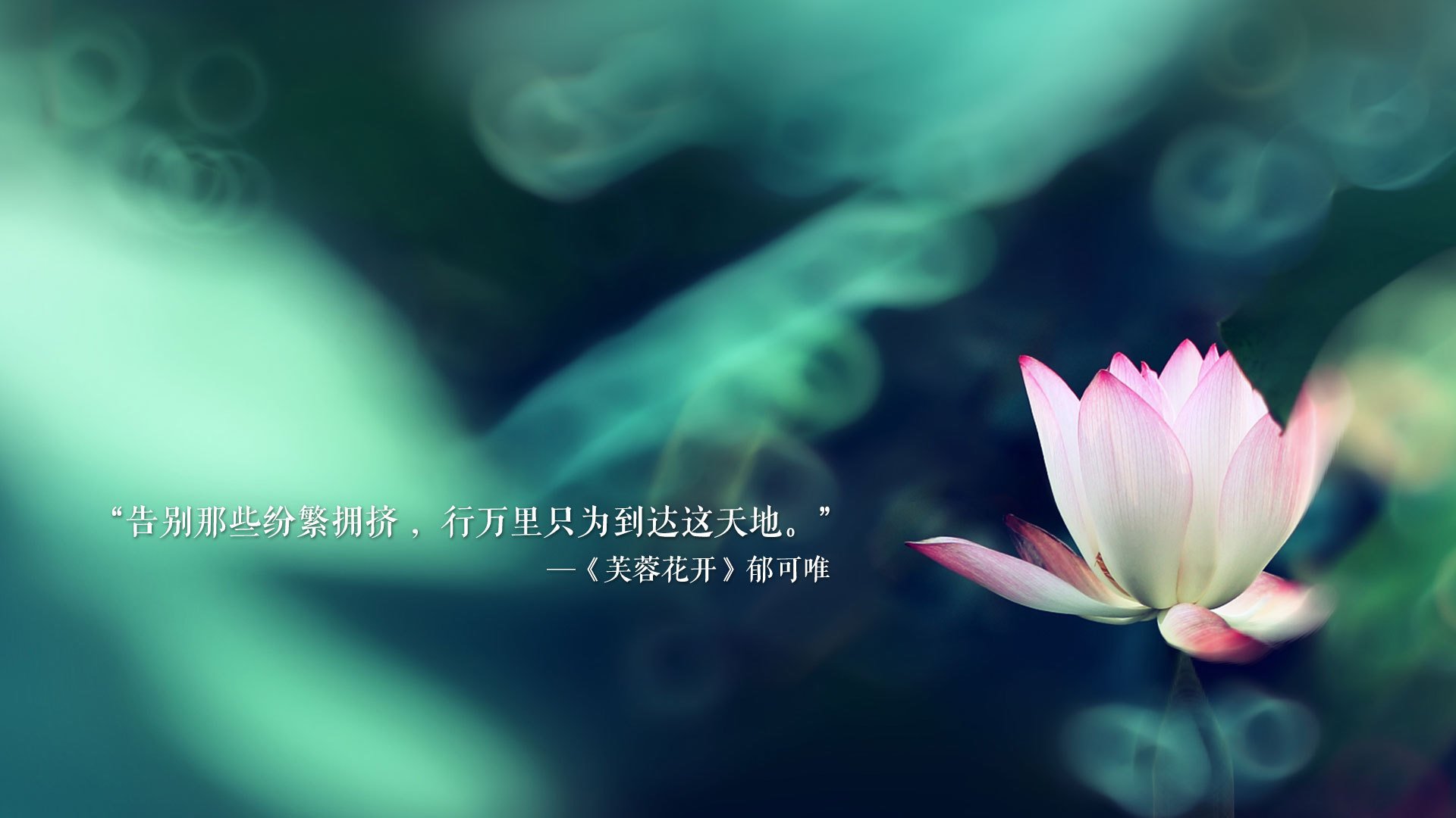 亚平宁绝杀照亮沙漠之夜,托纳利致命一击,韩国队昂首挺进2026世界杯16强